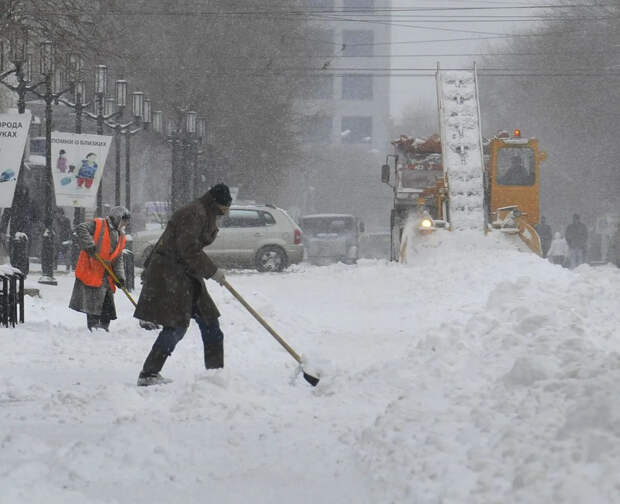 "Откопай соседа": в Москве появился бесплатный "лопатошеринг"
