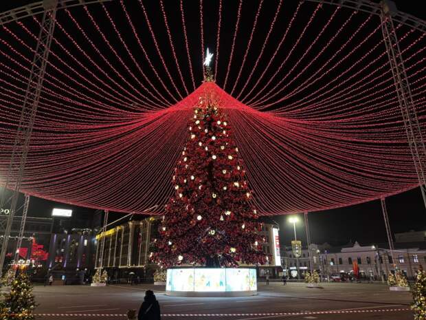 Главная ёлка Тулы попала в Книгу рекордов России