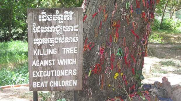 Дерево-убийца Пол Пол, история, камбоджа, красные кхмеры, страшно