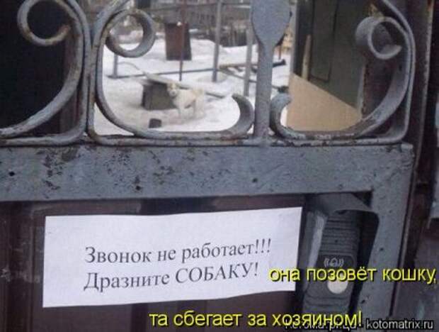 Она приходит... котЭматрикс!
