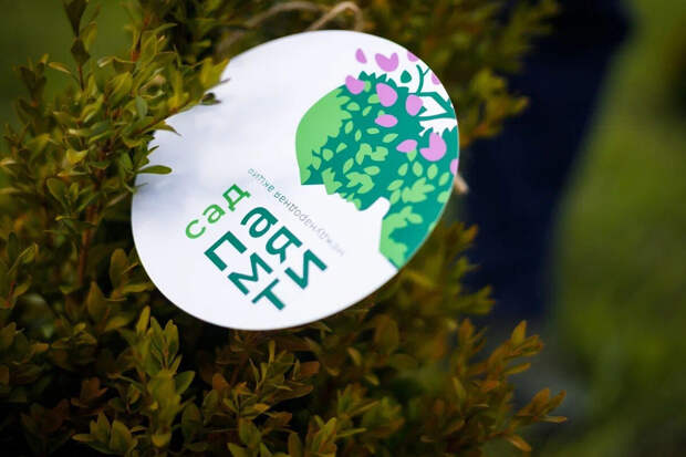 40 тысяч деревьев высадят в Луганской народной республике в рамках акции "Сад памяти"