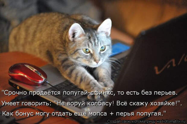 2 (700x464, 291Kb)