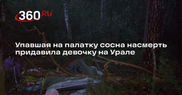 Упавшая на палатку сосна насмерть придавила девочку на Урале