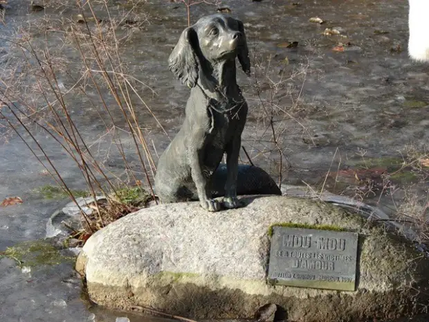 СПАСИБО! За всё тебя благодарю! - История настоящей любви — к Родине и друг к другу. - Почему говорят «вот где собака зарыта»? - Второстепенные цели. Притча. - Завораживающие аэрофото со всех уголков Земли. - О ФУТБОЛЕ.