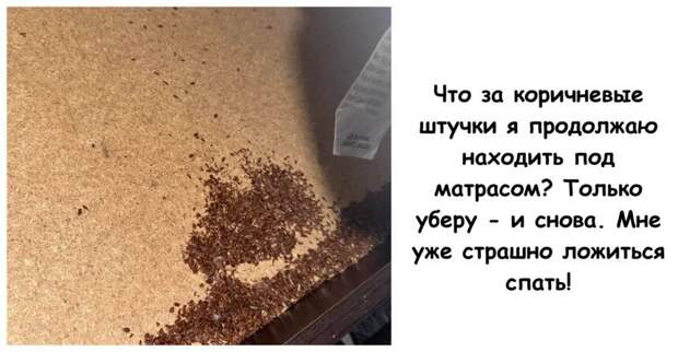 15 человек, которые думали, что нашли что-то странное, пока не узнали разгадку