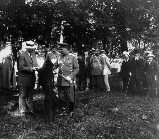02. Осмотр собаки, выставленной на выставке 02. Осмотр собаки, выставленной на выставке