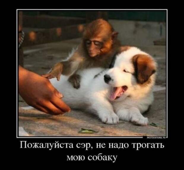 Немного новых демотиваторов
