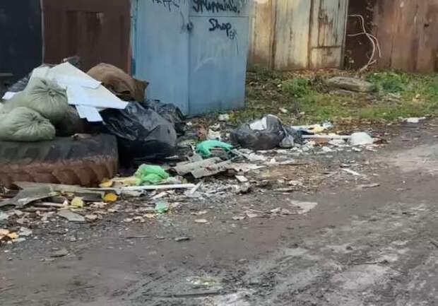 Мусорная война: что делать, если «Аквалайн» не вывозит, а УК «Фрязиново» молчит?