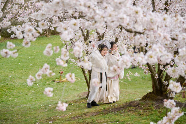 Фестиваль российской культуры стартует 11 мая в Токио