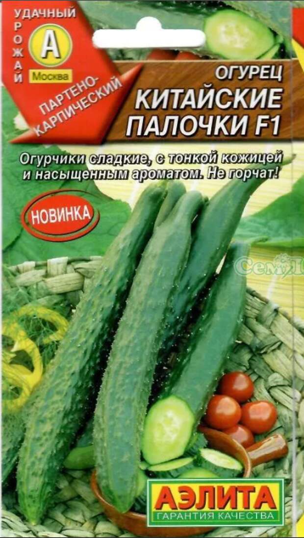По улицам ходили большие крокодилы,а наши аллигаторы гибриды-огурцы .