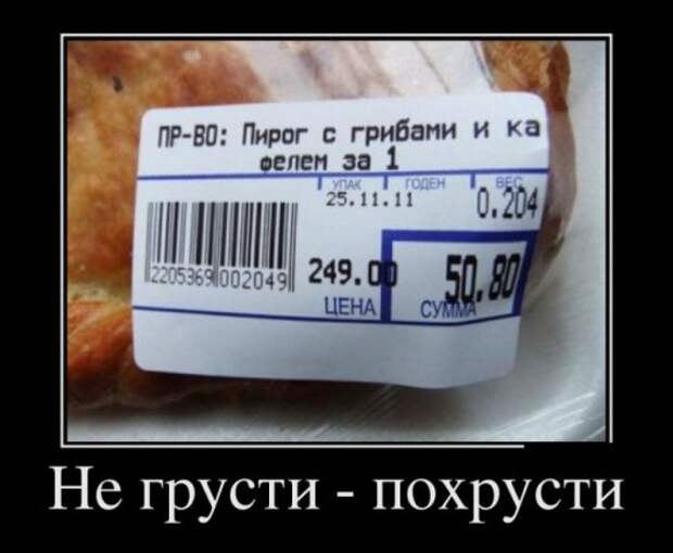 Демотиваторы 19.11.13