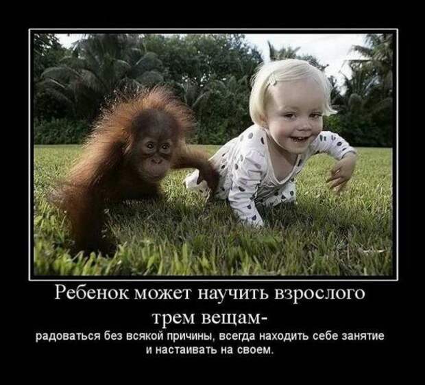 Смешные и забавные демотиваторы 