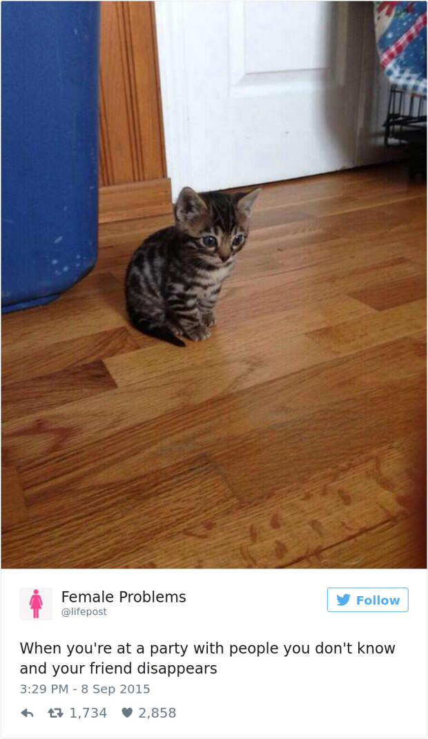 Introvert Problems