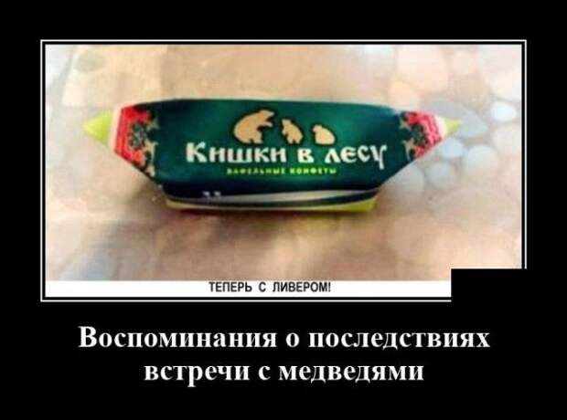 demotivatory-demotivator-smeshnye-demotivatory-demotivator-so-smyslom