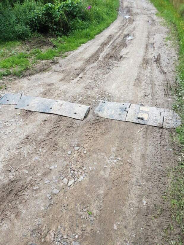 Приезжайте к нам в колхоз - куры, дуры и навоз