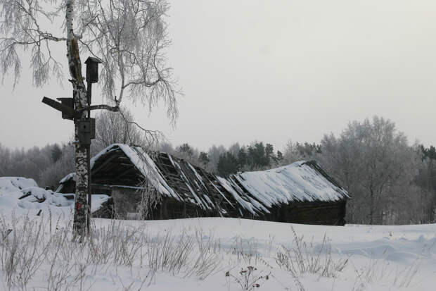 В России захотели избавиться от Новоселья