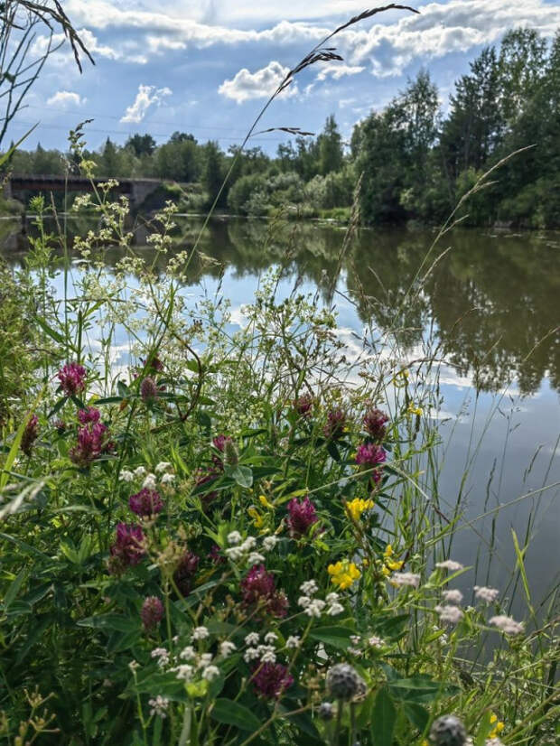 1000005140.jpg 1000005140.jpg