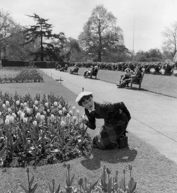 Редкие фотографии звезд. Одри Хепберн Одри Хепбёрн, история, редкие фотографии