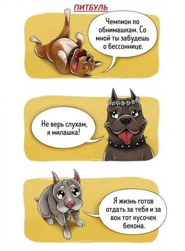 Весёлый гид по породам собак Породы собак, особенности пород, собаки, юмор