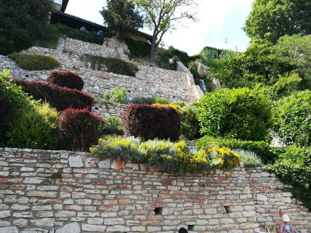 Фото: Анна Попкова