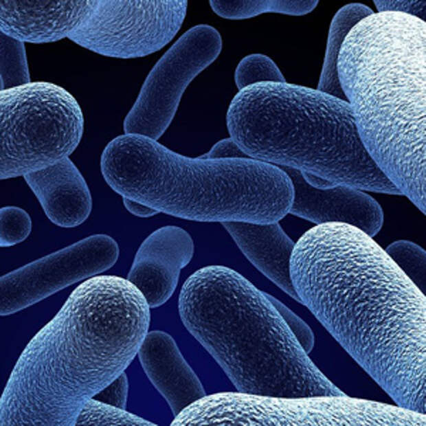 Ученые создали бактерий-киборгов с технологией лучше фотосинтеза