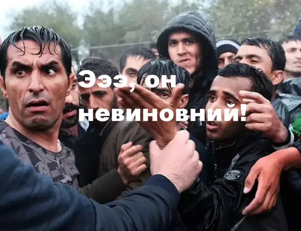 Что будет с схваченными выходцами из Азербайджана, нападавшими на людей в Санкт-Петербурге