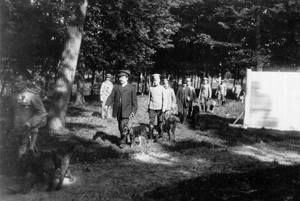Выставка собак питомника Петербургской сыскной полиции (Новая деревня, Строгановский парк). 1913. 01. Парад собак на открытии выставке Выставка собак питомника Петербургской сыскной полиции (Новая деревня, Строгановский парк). 1913. 01. Парад собак на открытии выставке