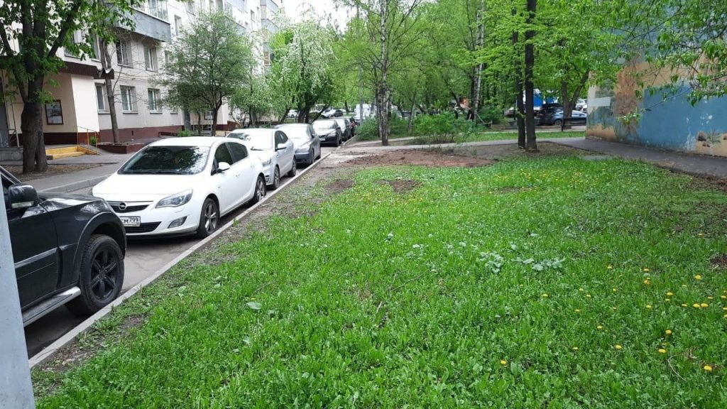 Коммунальщики расчистили двор на Сормовской от обломков рухнувшего дерева