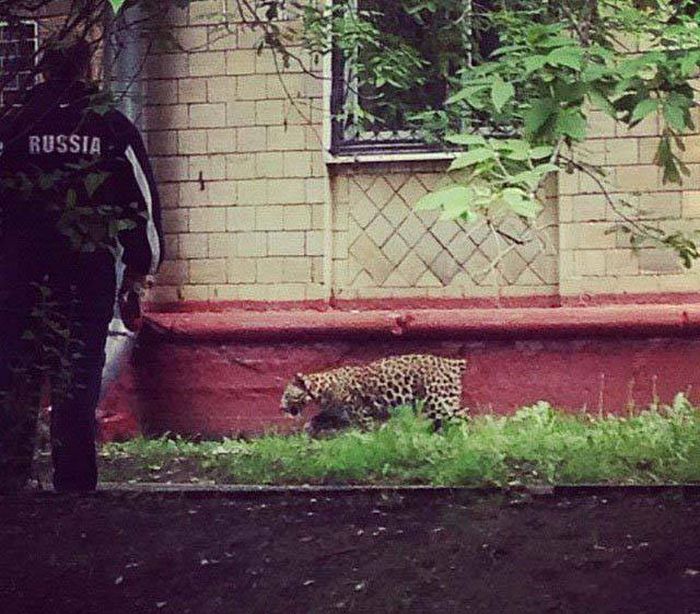 Фото, которые возможно было сделать только в России