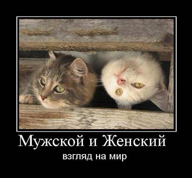 Печальные и грустные демотиваторы со смыслом (16 фото) Печальные и грустные демотиваторы со смыслом (16 фото)