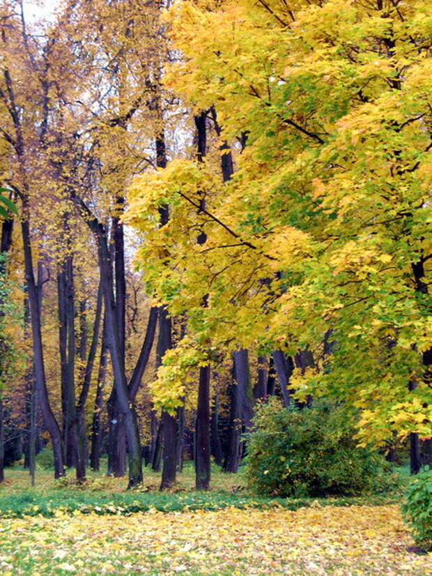 Погожая осень