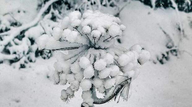 Краснодар ждет ледяные выходные! В мэрии собрали экстренное совещание