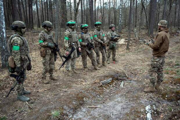 Не элитный спецназ, а тупая мишень. Sohu рассказала правду об американских наёмниках на Украине