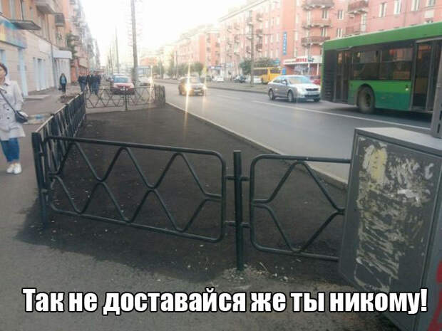 Подборка веселых картинок и свежих фото с надписями (11 фото) Подборка веселых картинок и свежих фото с надписями (11 фото)
