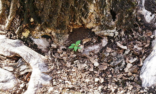 Источник фото: Unsplash