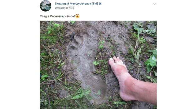 Кузбассовцы опубликовали в соцсетях фото гигантских следов непонятного происхождения