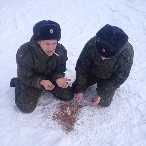 buckwheat05 #гречка захватила Инстаграм