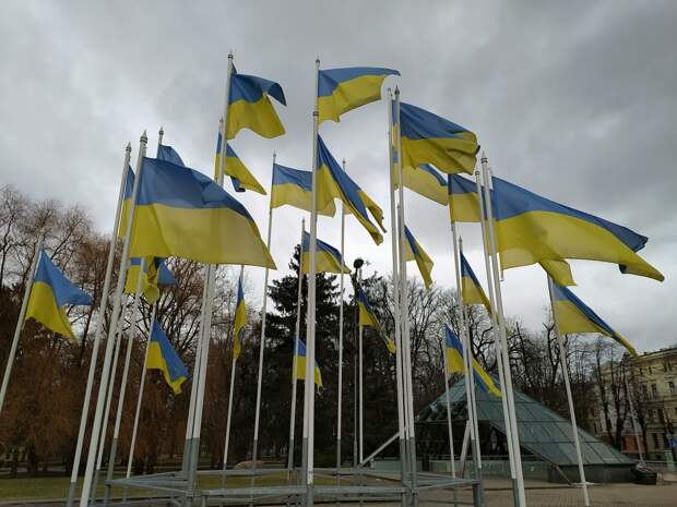 В Европе раскритиковали шокирующую идею украинской Рады