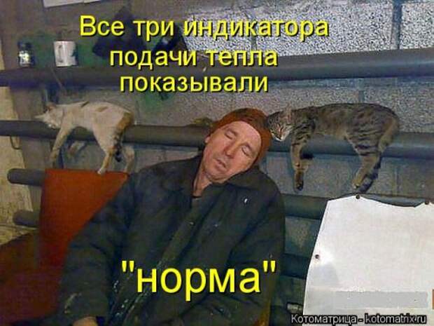 Свежая котоматрица (33 фото)