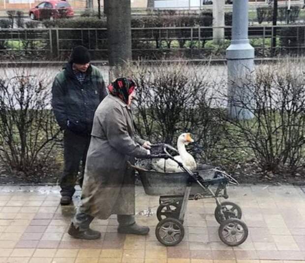 Где-то в России