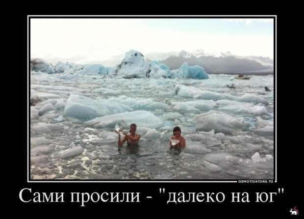 Блоги.  -  