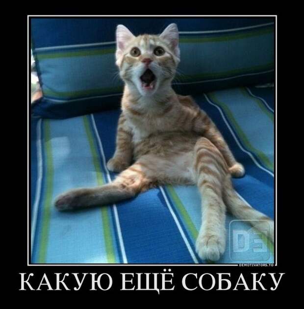 Демотиваторы и мотиваторы. Демотиваторы и закосы под них_12-11-2012 Демотиваторы и мотиваторы. Демотиваторы и закосы под них_12-11-2012