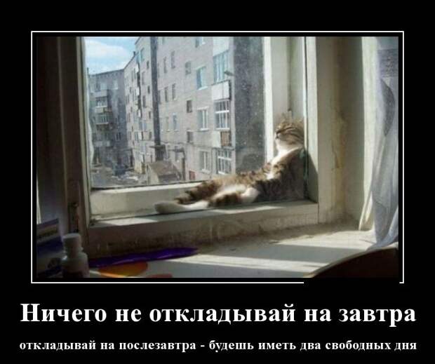 Демотиваторы демотиваторы, фото, юмор