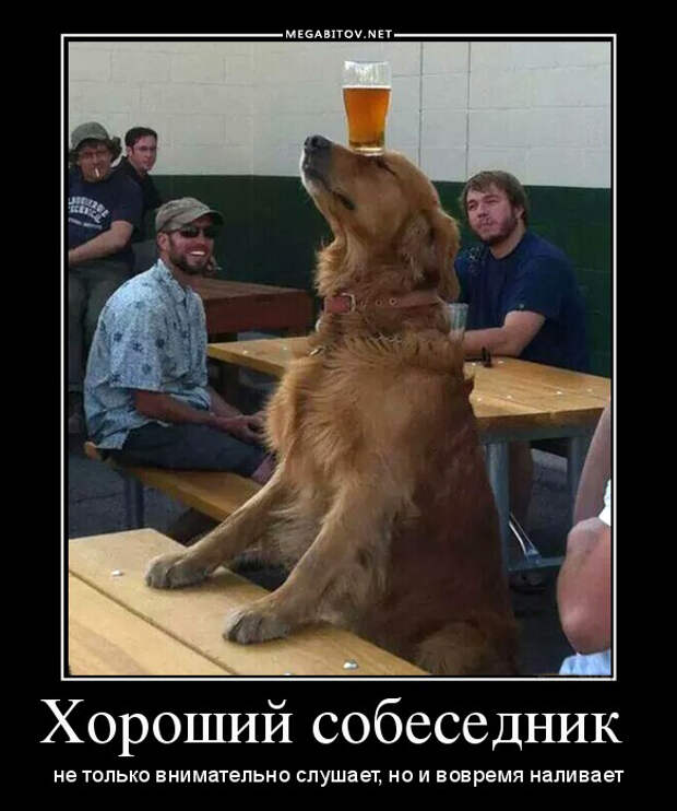 Демотиваторы 02.09.2014