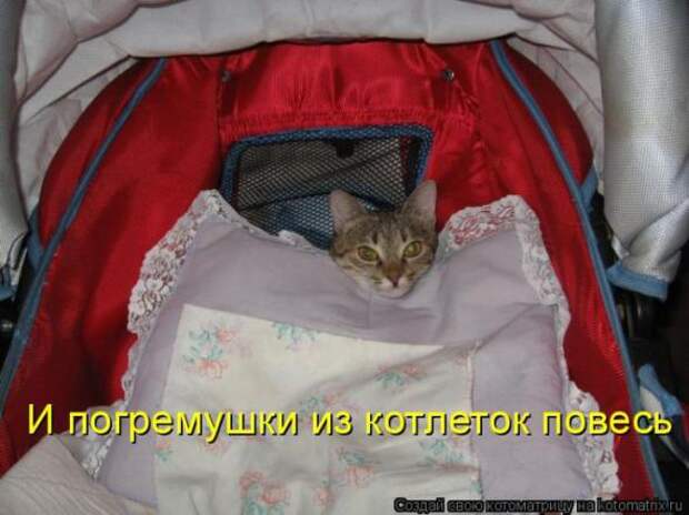 Котоматрицы(картинки с надписями)
