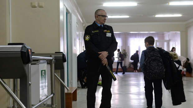 Сенатор Хохлова предложила ужесточить лицензирование охранных организаций, работающих со школами