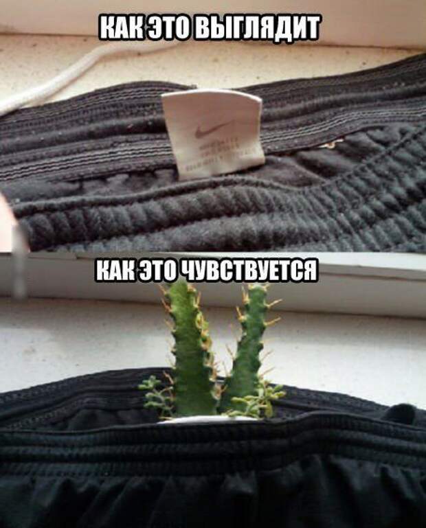 Очередная порция забавных фотомемов (24 шт) Очередная порция забавных фотомемов (24 шт)