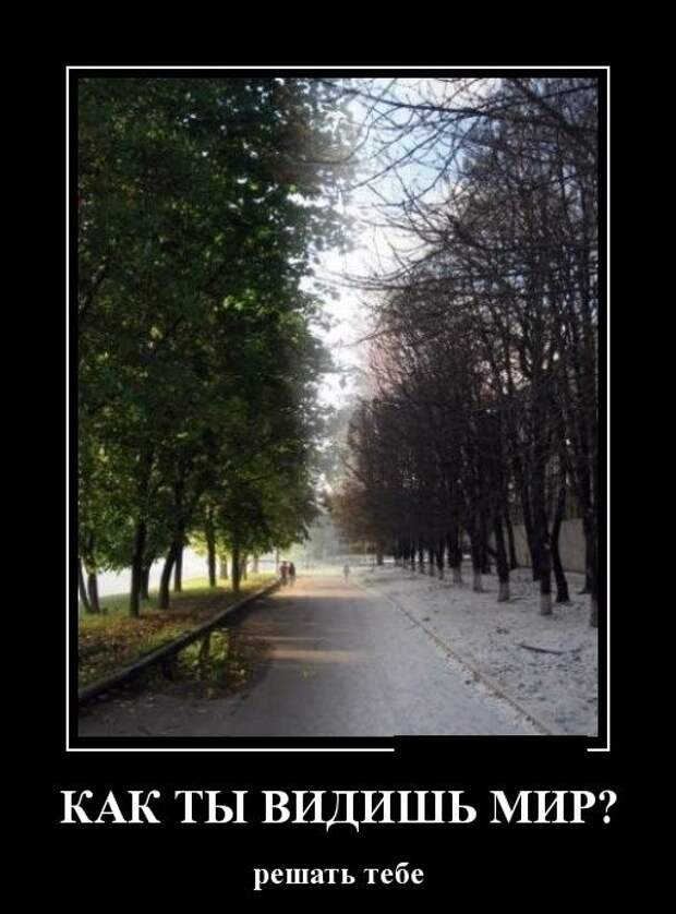 Демотиваторы демотиваторы, фото, юмор