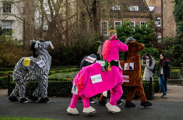 Веселая гонка лошадей London Pantomime Horse Race 2018