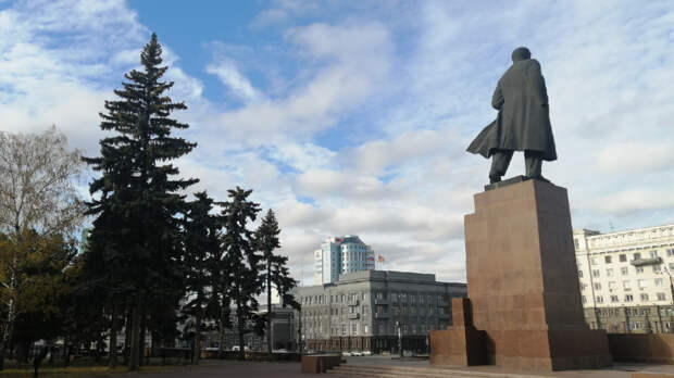 В Челябинске ёлки помыли с шампунем